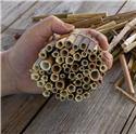 Veranstaltungsbild SG LATHEN/ LATHEN/ Insektenhotels bauen