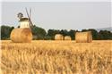 Veranstaltungsbild SG LATHEN/ LATHEN/ Vom Korn zum Brot